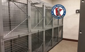 BeastWire Double Tier Military Lockers MN ANG2
